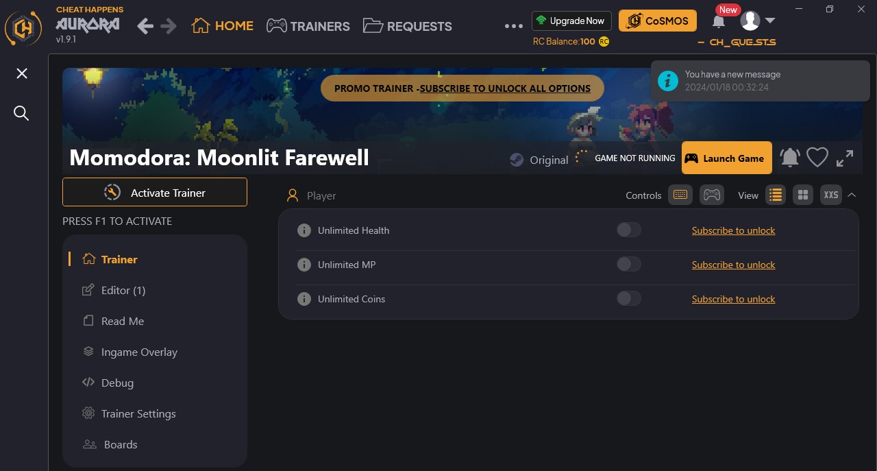 Momodora: Moonlit Farewell - Trainer +4 {CheatHappens.com}