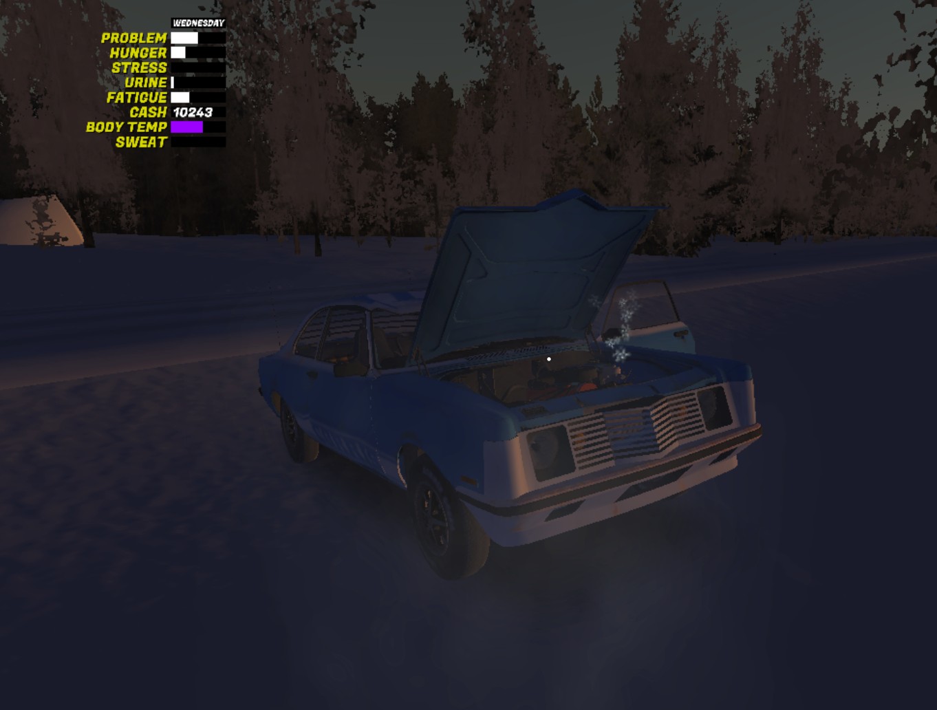 My Winter Car: SaveGame (Corris Rivett GT & Corris Rivett Rally)