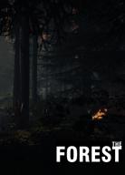 The Forest: Save Game (1 camp) [1.11]
