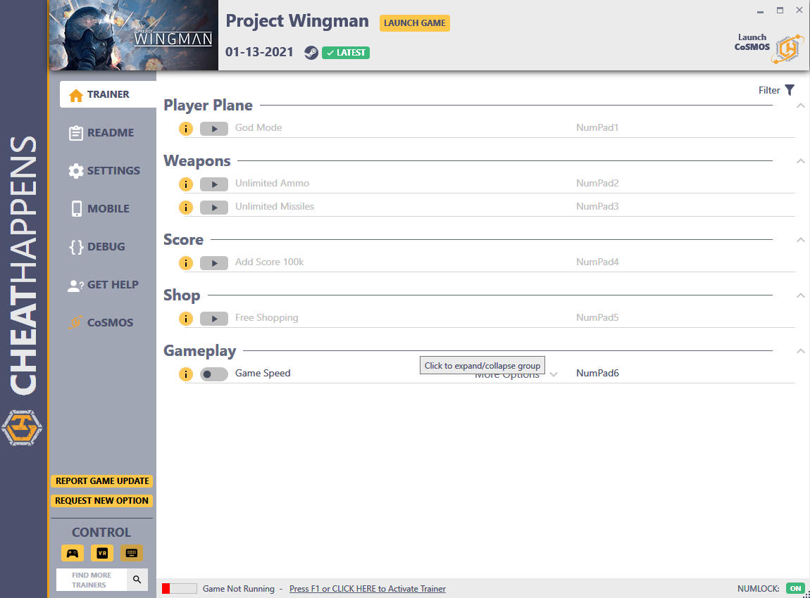 Project Wingman: Trainer +6 v01.13.2021 {CheatHappens.com}